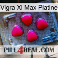 Vigra Xl Max Platinum 13